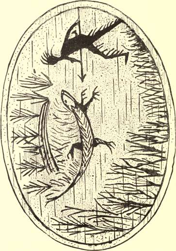 picture9