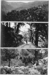 picture10