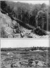 picture17