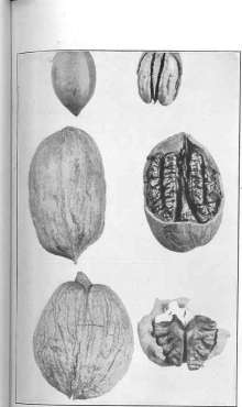 picture18