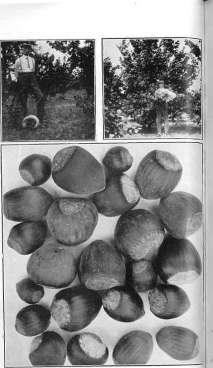 picture19
