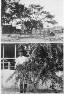 picture23