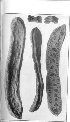 picture26