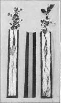 picture30
