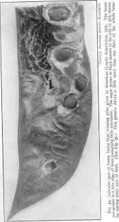 picture32