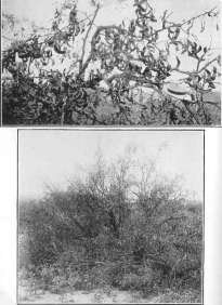 picture34