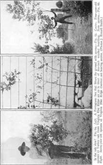 picture65