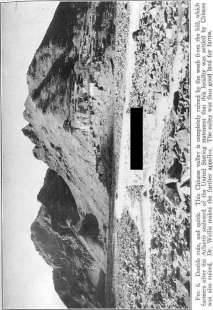 picture7